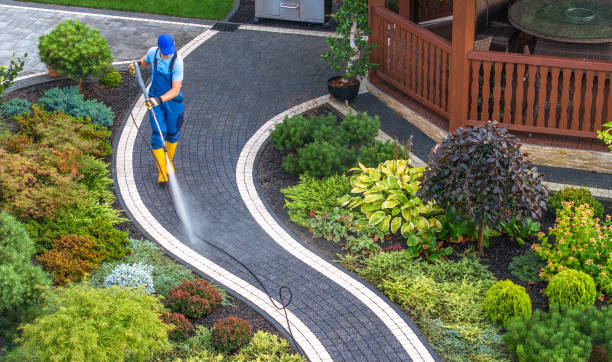 Best Concrete Pressure Washing  in Century, FL